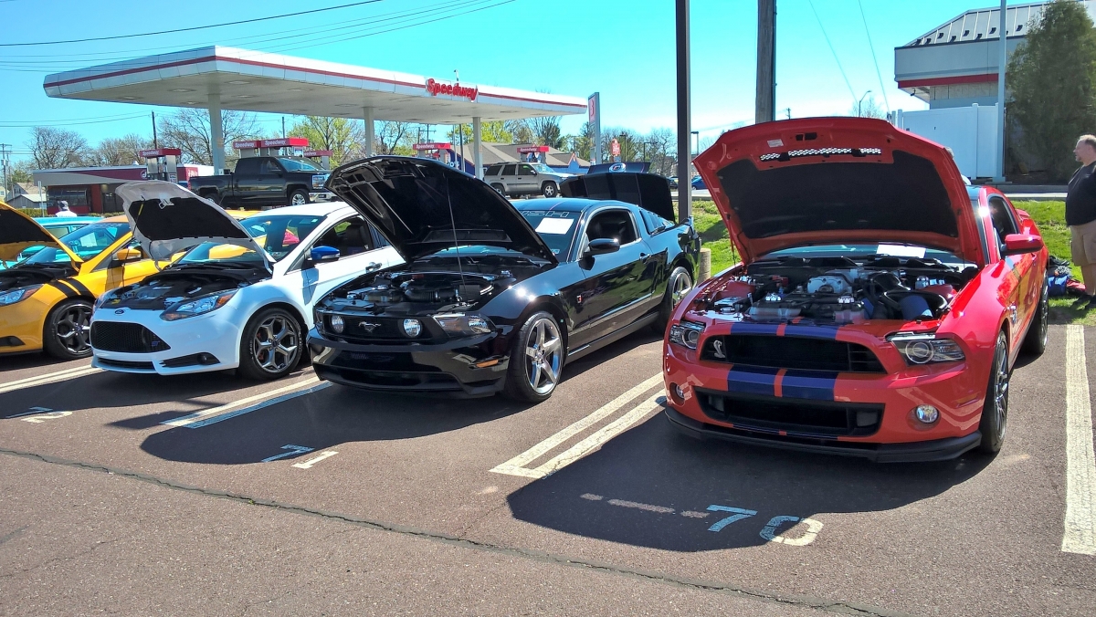 Cars lined up for a First Pennsylvania Mustang Club show